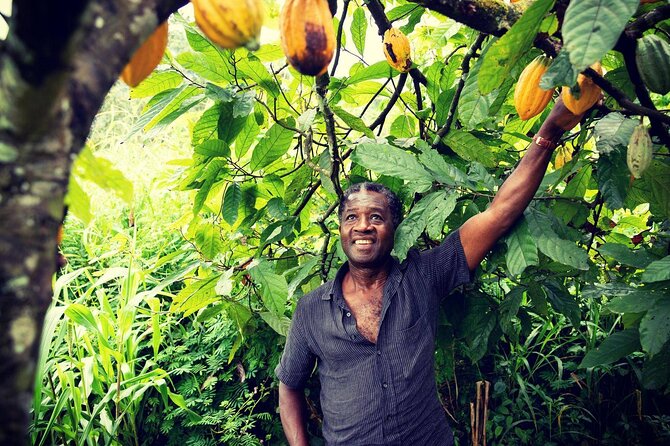 Boti Falls, Botanic Gardens, Cocoa Fam, Umbrella Rock Experience - Four Eastern Region sights in one private day