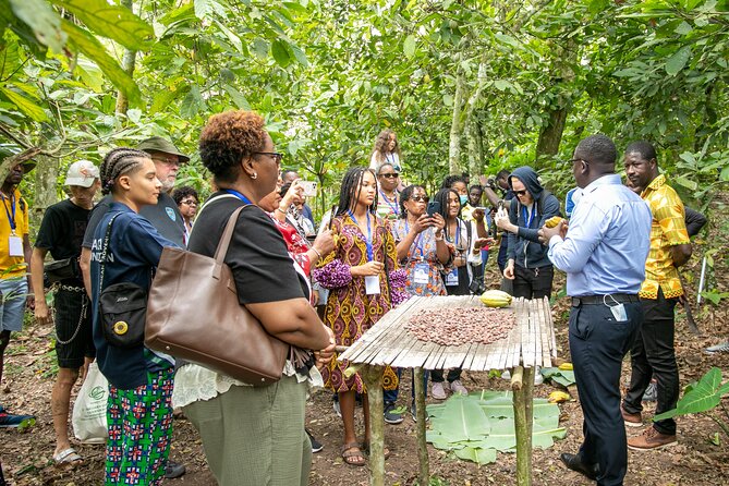 Boti Falls, Botanic Gardens, Cocoa Fam, Umbrella Rock Experience - Boti Falls: the day’s main physical adventure