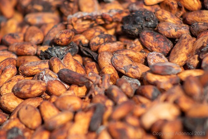 Boti Falls, Umbrella Rock, Aburi Gardens & Cocoa Farm Day Tour - Four eastern Ghana stops in one long day