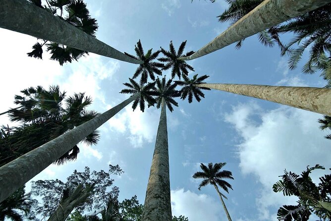 Boti Falls, Umbrella Rock, Aburi Gardens & Cocoa Farm Day Tour - Boti Falls: the day’s most memorable stop