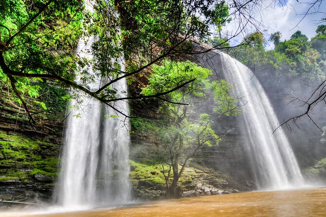 Boti Falls, Umbrella Rock, Aburi Gardens & Cocoa Farm Day Tour - Tetteh Quarshie Cocoa Farm: taste the crop before the chocolate