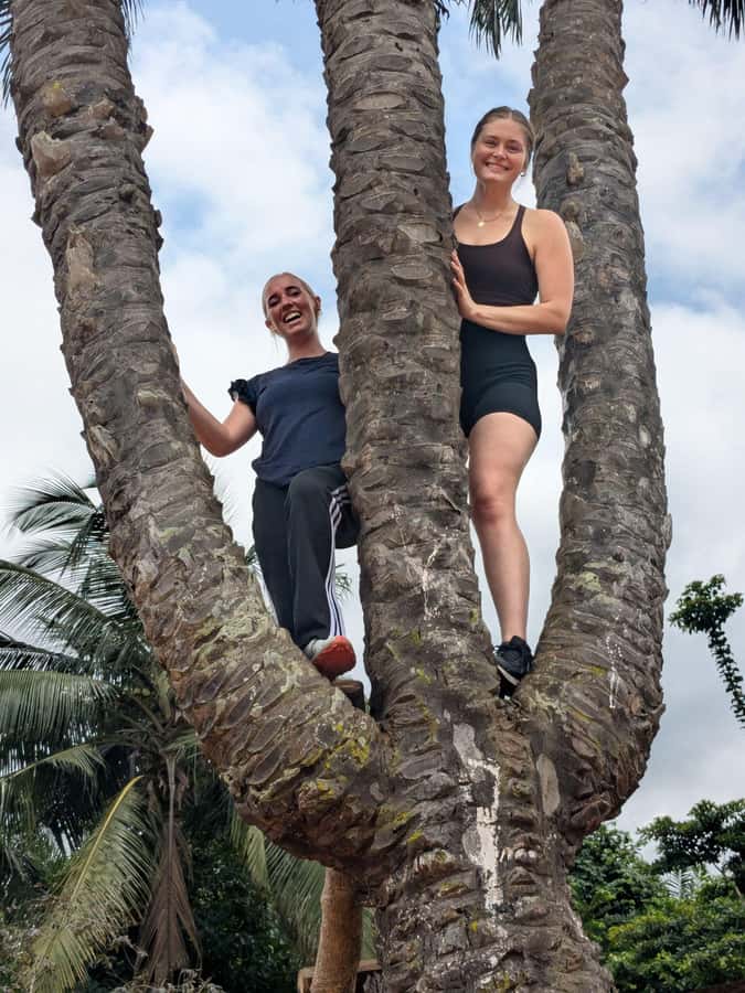 Boti Falls, Umbrella Rock, Aburi Gardens & Cocoa Farm Tour - Why this makes a good day outside Accra
