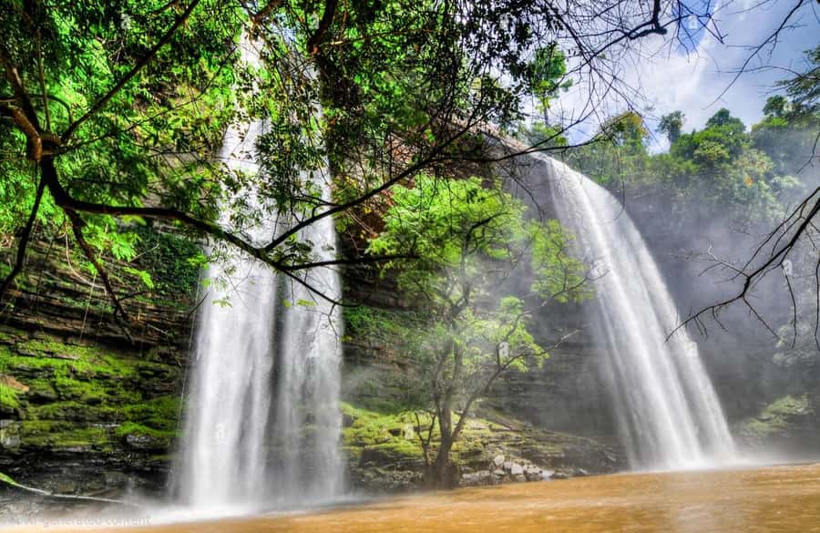 Boti Falls, Umbrella Rock, Aburi Gardens & Cocoa Farm Tour - Boti Falls and the forest walk