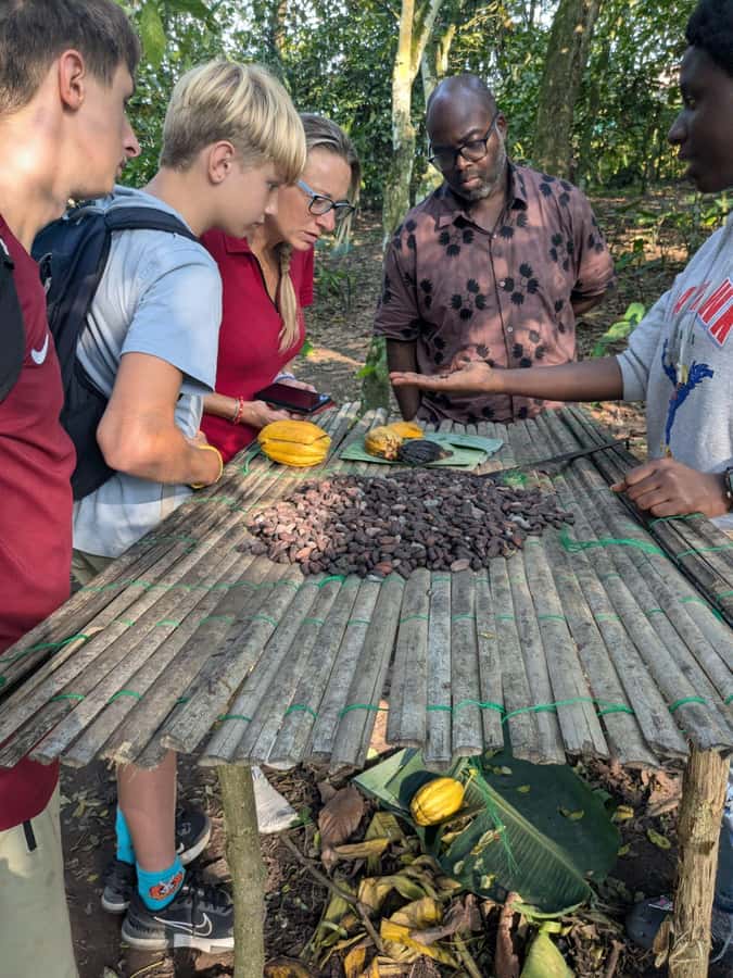 Boti Falls, Umbrella Rock, Aburi Gardens & Cocoa Farm Tour - Who should book this tour