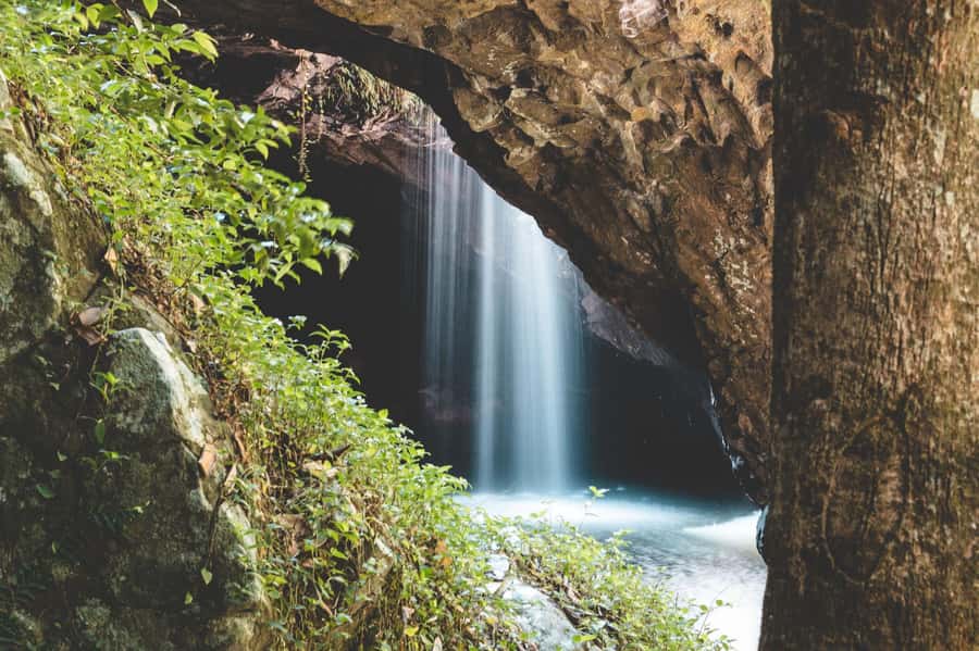 Brisbane: Rainforests, Waterfalls and Glow Worm Cave Tour - Key points at a glance