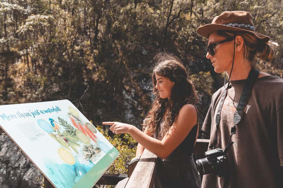 Brisbane: Rainforests, Waterfalls and Glow Worm Cave Tour - The guides make the difference