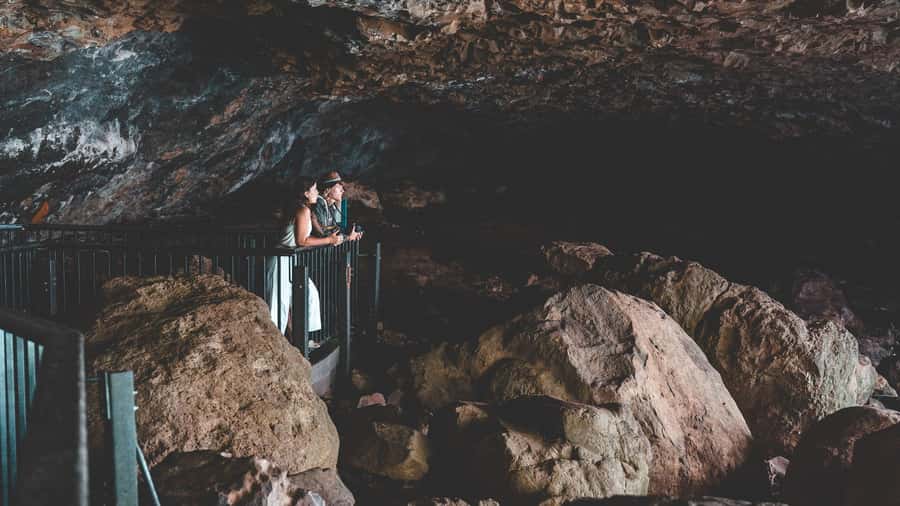Brisbane: Rainforests, Waterfalls and Glow Worm Cave Tour - A full rainforest day from Brisbane