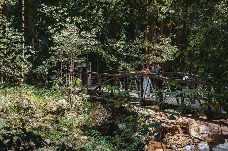 Brisbane: Rainforests, Waterfalls and Glow Worm Cave Tour - Hang Glider Lookout and the Scenic Rim