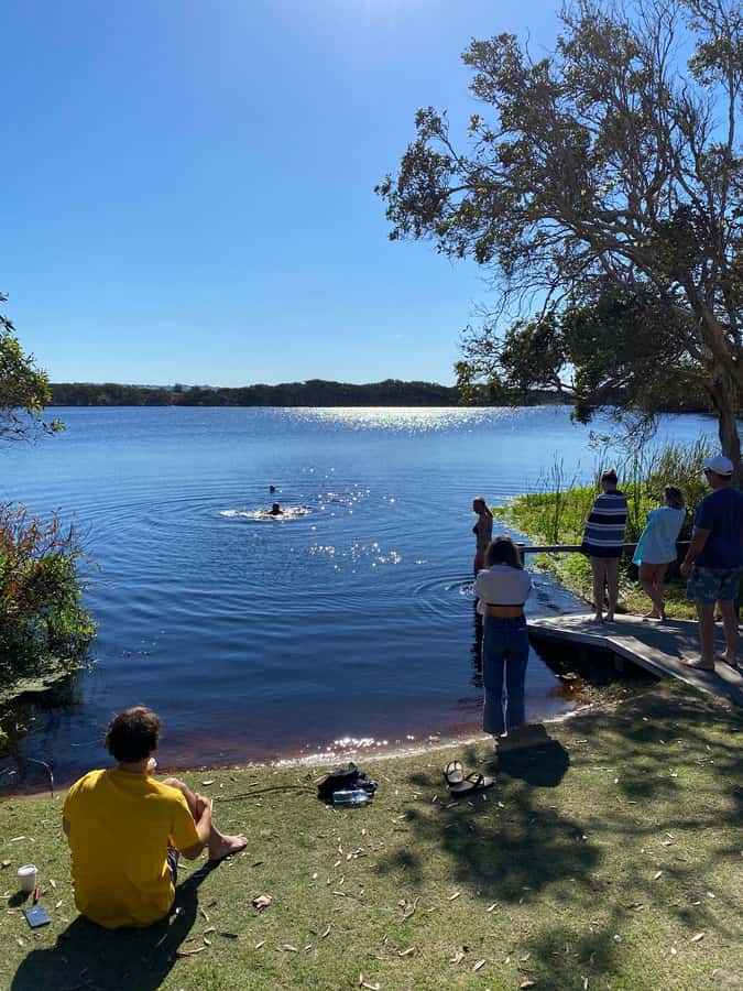 Byron Bay: Behind The Bay Waterfalls & Hidden Gems Day Tour - Key points to know before you book