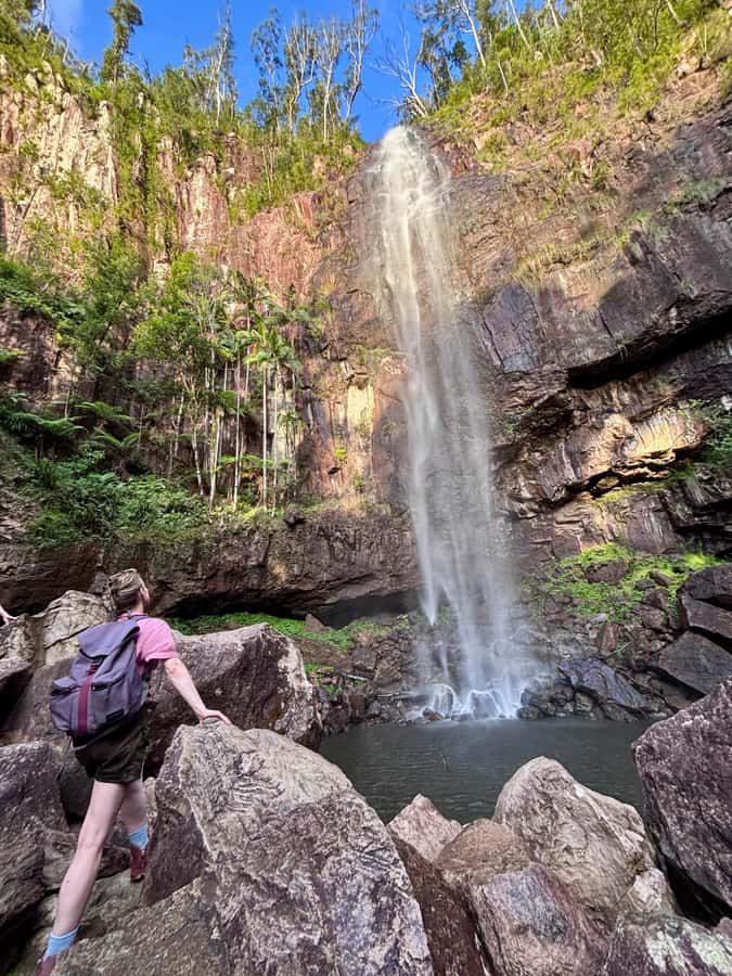 Byron Bay: Glowworms, Waterfalls & Rainforest Experience - Key things to know before you book