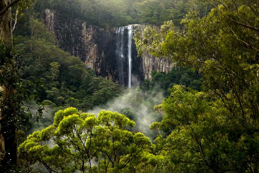 Byron Bay: Glowworms, Waterfalls & Rainforest Experience - FAQ