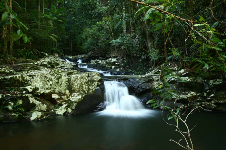 Byron Bay: Glowworms, Waterfalls & Rainforest Experience - What the drive is really like