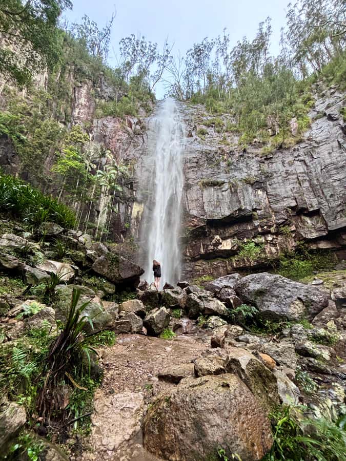 Byron Bay: Glowworms, Waterfalls & Rainforest Experience - From central Byron Bay to the first lookout