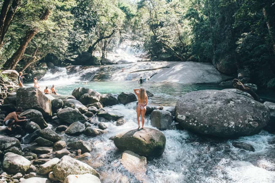 Cairns: Waterfall and Daintree Rainforest Tour - 2 Day Tours - Millaa Millaa Falls and the classic rainforest view
