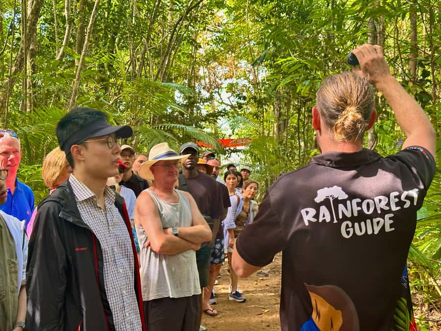 Cairns: Waterfall and Daintree Rainforest Tour - 2 Day Tours - Walking in the Daintree and reaching Cape Tribulation
