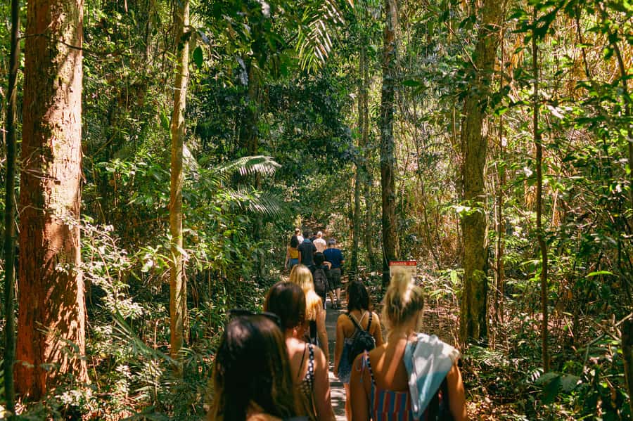 Cairns: Waterfall Tour with Lunch - Rain, safety, and the reality of a tropical day