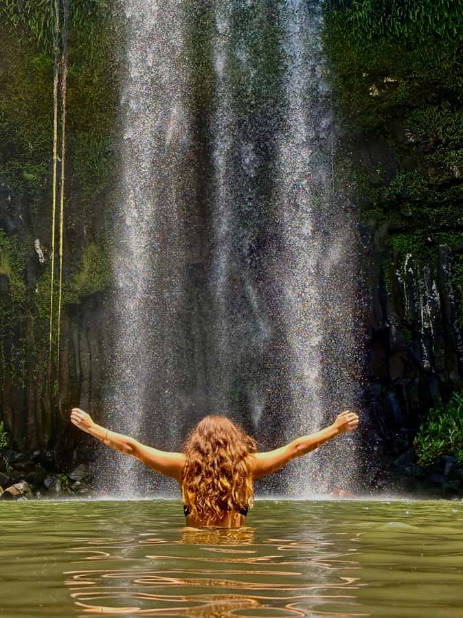 Cairns: Waterfall Tour with Lunch - Cathedral Fig Tree and the stories of the forest