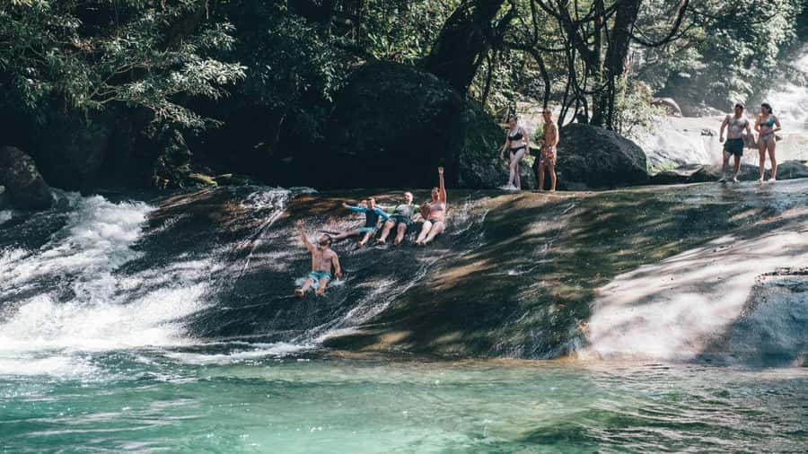 Cairns: Waterfall Tour with Lunch - Millaa Millaa Falls, the classic postcard stop