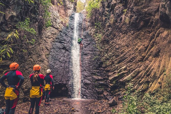 Canyoning with Waterfalls in the Rainforest - Small Groups ツ - Why Gran Canaria’s wet side is worth the effort