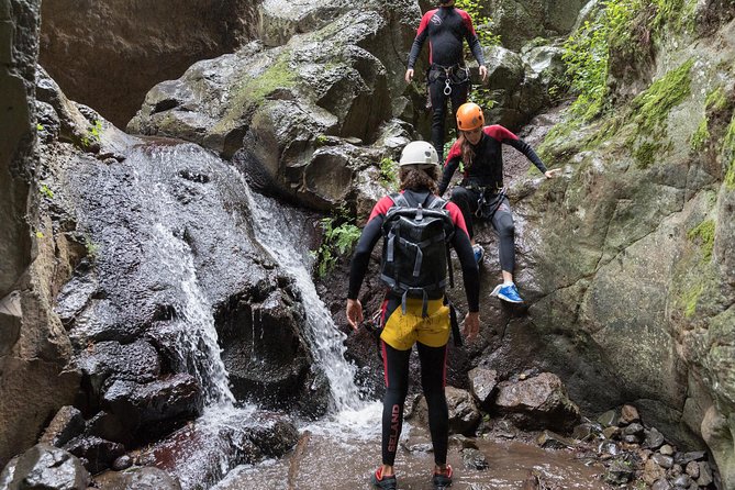 Canyoning with Waterfalls in the Rainforest - Small Groups ツ - What happens inside the canyon