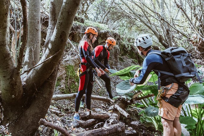 Canyoning with Waterfalls in the Rainforest - Small Groups ツ - The parts I like most, and the parts I would weigh carefully