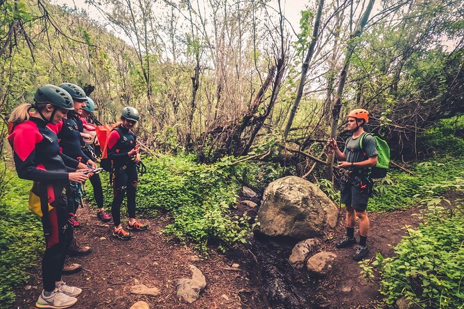 Canyoning with Waterfalls in the Rainforest - Small Groups ツ - The morning pickup and mountain drive
