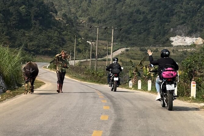 Cao Bằng: Ban Gioc Waterfall Full-Day With Local Guide - Starting with Cao Bang food and Ma Phuc Pass