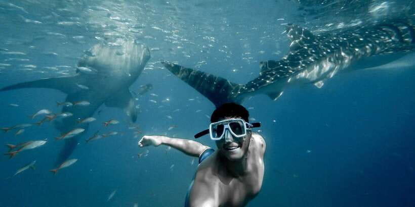 Cebu City: Whale Shark Swimming & Kawasan Falls Canyoneering - Who should book this Cebu adventure?