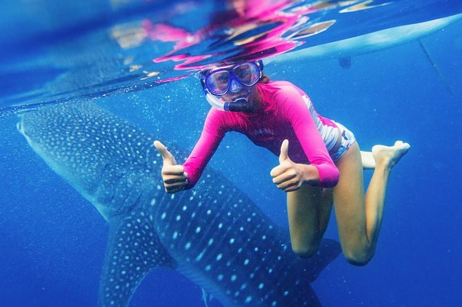 Cebu: Oslob Whale Shark Swimming and Kawasan Falls Canyoneering - Badian’s canyon: three hours of water, rock, and jumps