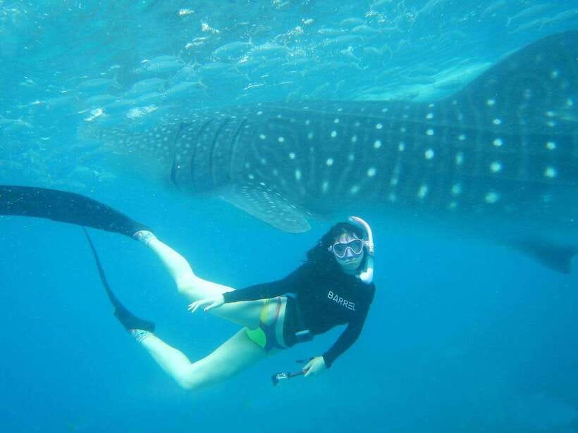 Cebu: Oslob Whale Sharks, Tumalog Falls & Sardine Snorkeling - Key points to know before booking