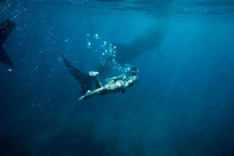 Cebu: Oslob Whale Sharks, Tumalog Falls & Sardine Snorkeling - Tumalog Falls gives the day a cool pause