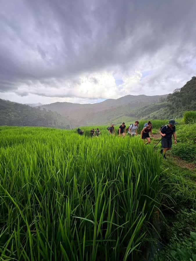 Chiang Mai: 2-Days Jungle Trek, Waterfalls and Karen Village - The White Karen village overnight