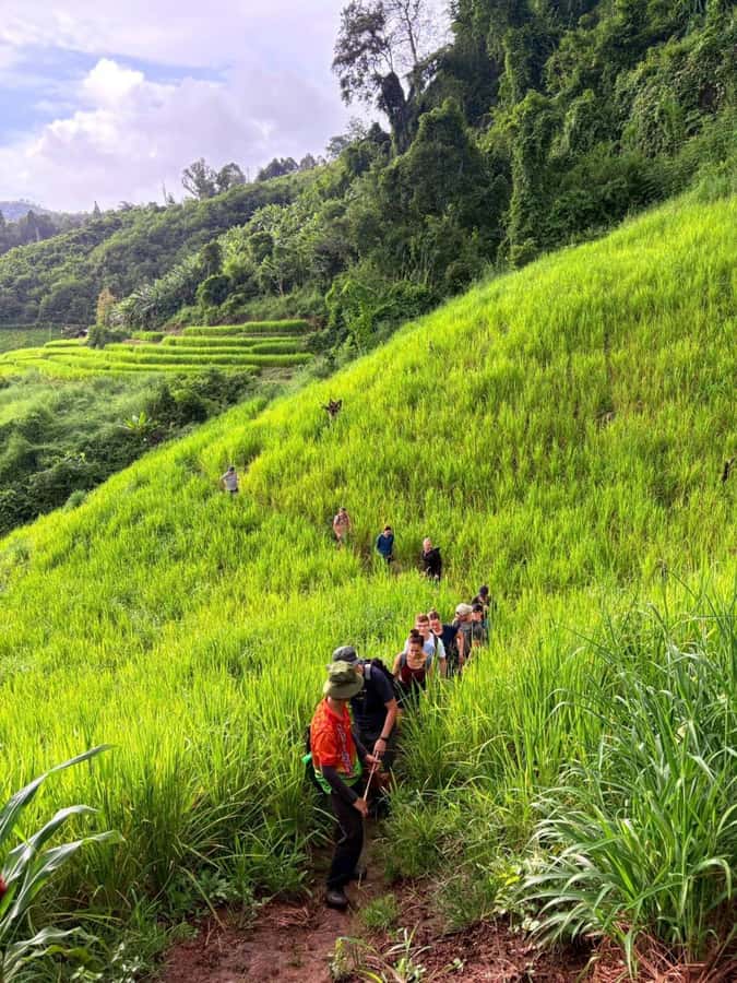 Chiang Mai: 2-Days Jungle Trek, Waterfalls and Karen Village - Day two through Mae Wang jungle