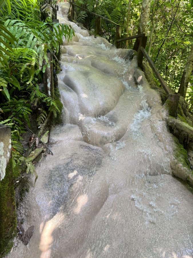 Chiang Mai: ATV, White Water Raft, & Sticky Waterfall Tour - Pad Thai before the river