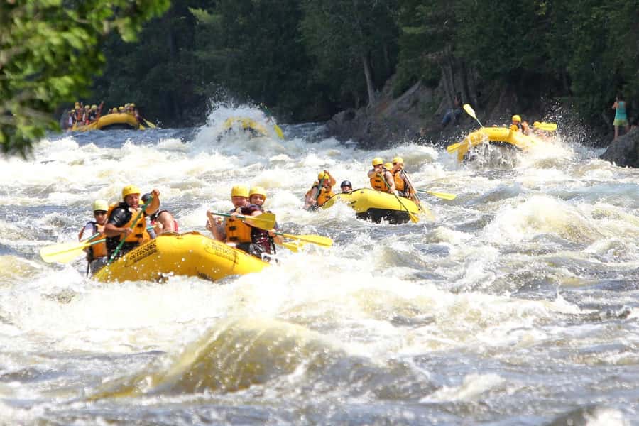 Chiang Mai ATV & White Water Rafting & Trekking to Waterfall - A Full Outdoor Day Beyond Chiang Mai