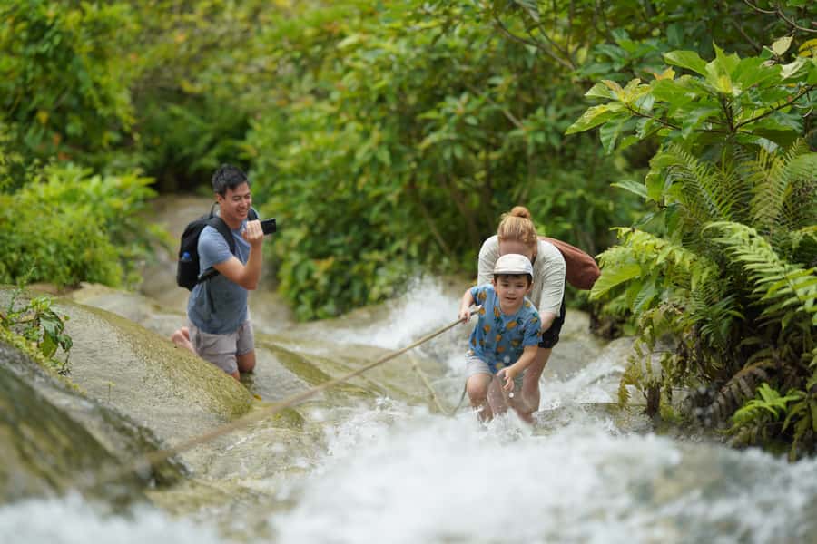 Chiang Mai: Bua Thong Sticky Waterfall & Huge Cave & Buffet - Why Sticky Waterfall is worth the drive from Chiang Mai