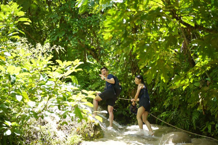 Chiang Mai: Bua Thong Sticky Waterfall & Huge Cave & Buffet - Climbing all four levels of Sticky Waterfall