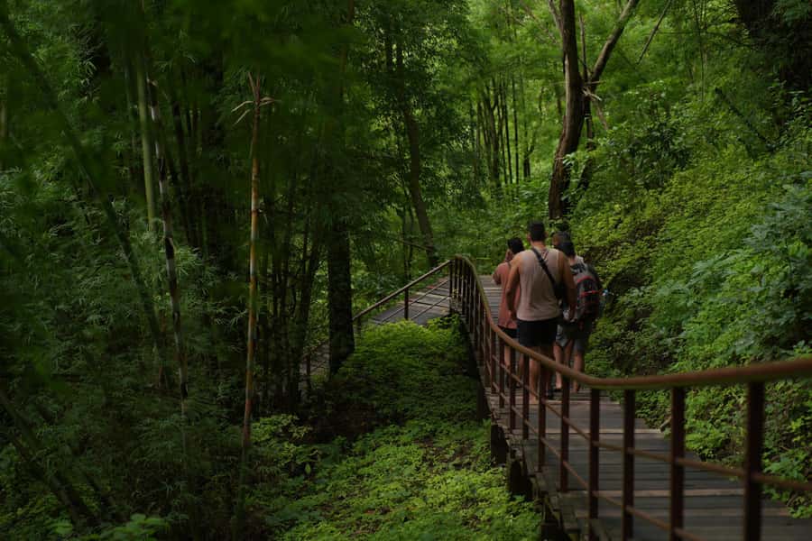 Chiang Mai: Bua Thong Sticky Waterfall & Huge Cave & Buffet - What to pack for a wet limestone climb