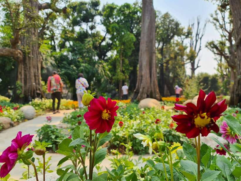 Chiang Mai: Dantewada Land of Angels & Sticky Waterfall Tour - Who will enjoy this half-day tour?