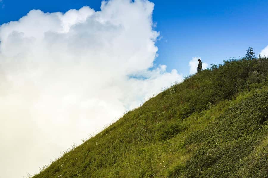 Chiang Mai: Doi Inthanon National Park, Waterfall & Lunch - Guide quality can shape the whole day