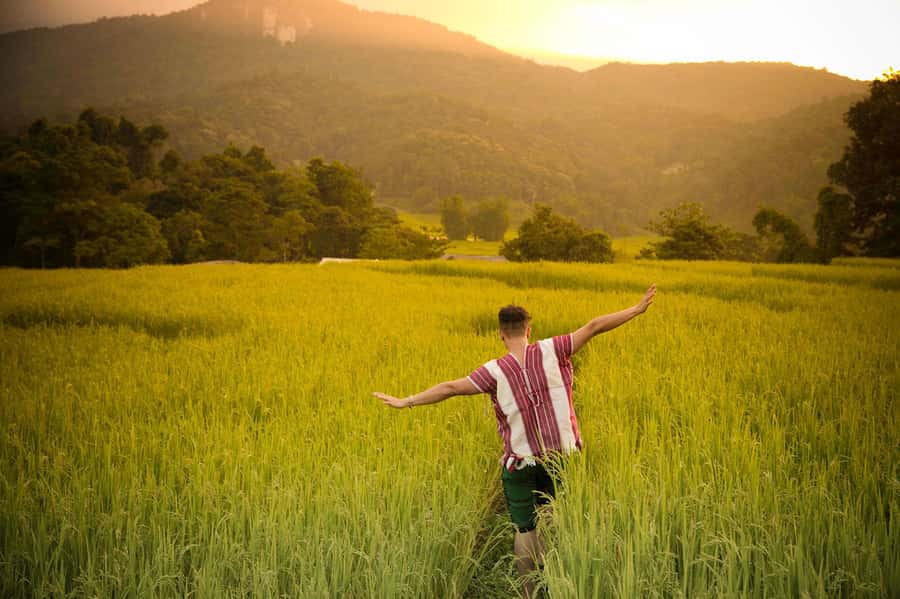 Chiang Mai: Doi Inthanon National Park, Waterfall & Lunch - The highest point and mountain viewpoints