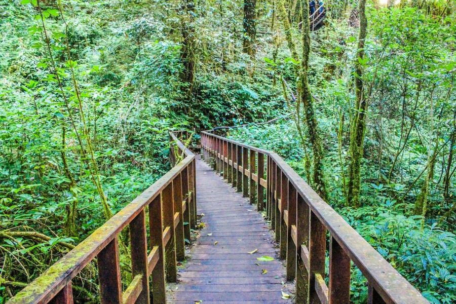 Chiang Mai: Doi Inthanon, Waterfalls, & Tribal Villages Tour - Who should book this Doi Inthanon tour