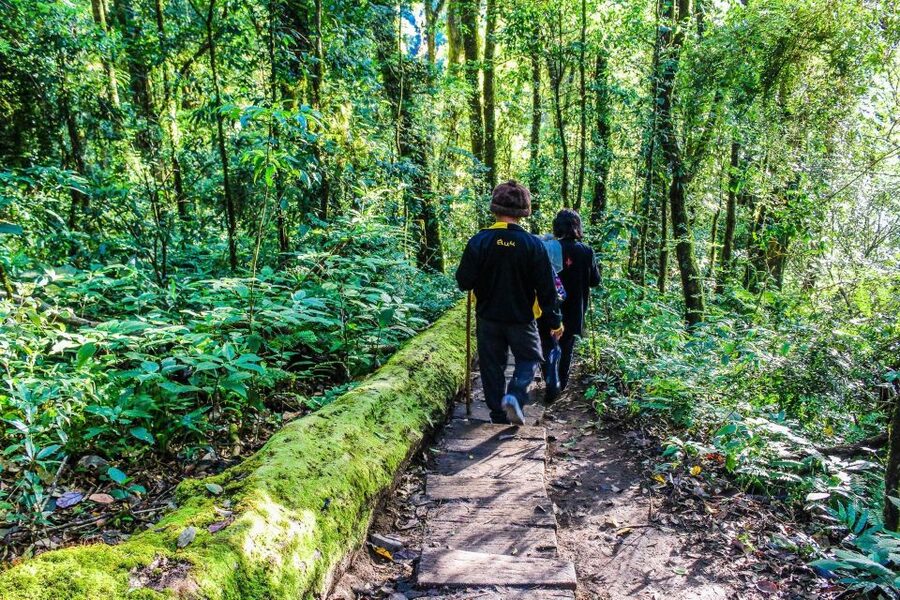 Chiang Mai: Doi Inthanon, Waterfalls, & Tribal Villages Tour - Lunch, coffee, and the limits of a group meal