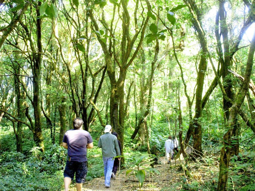Chiang Mai: Doi Inthanon, Waterfalls, & Tribal Villages Tour - Meeting Karen and Hmong communities