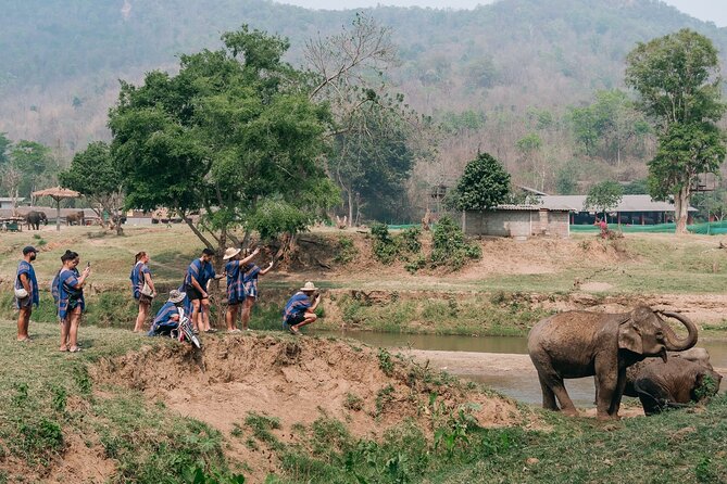 Chiang Mai Elephant Sanctuary, Bamboo Rafting and Waterfall Tour - What the $58.70 price really covers