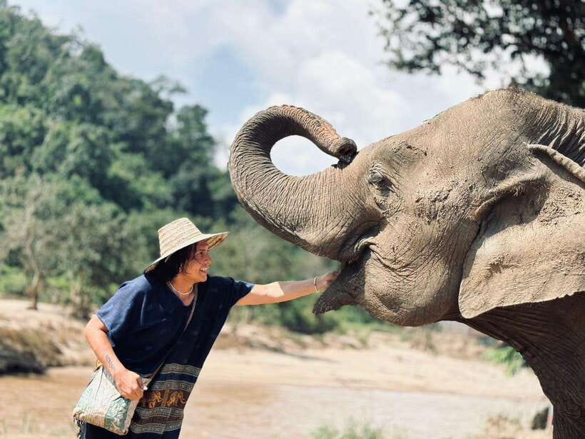 Chiang Mai: Elephant Sanctuary, Long Neck & Sticky Waterfall - Quick points before you book