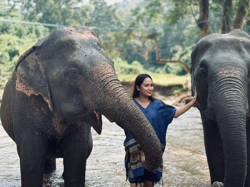 Chiang Mai: Elephant Sanctuary, Long Neck & Sticky Waterfall - Walking through the forest and river bathing