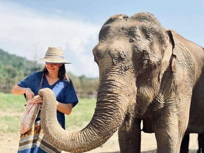 Chiang Mai: Elephant Sanctuary, Long Neck & Sticky Waterfall - Lunch with Thai dishes and fresh fruit