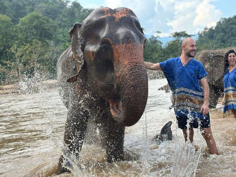 Chiang Mai: Elephant Sanctuary, Long Neck & Sticky Waterfall - Is $63 good value?