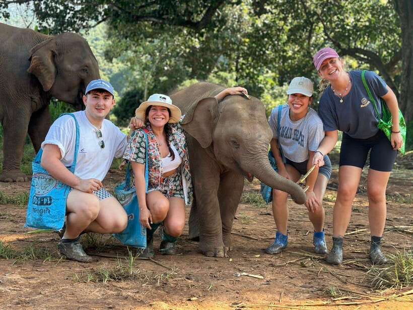 Chiang Mai: Elephant Sanctuary, Waterfall & Bamboo Rafting - A nine-hour escape from Chiang Mai